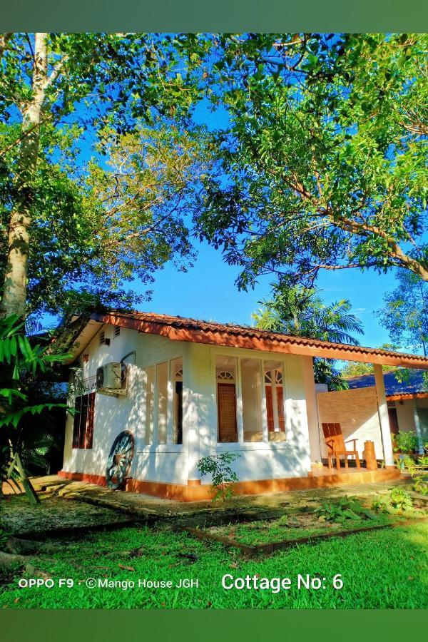 Mango House Japanese Guest House Negombo Bagian luar foto