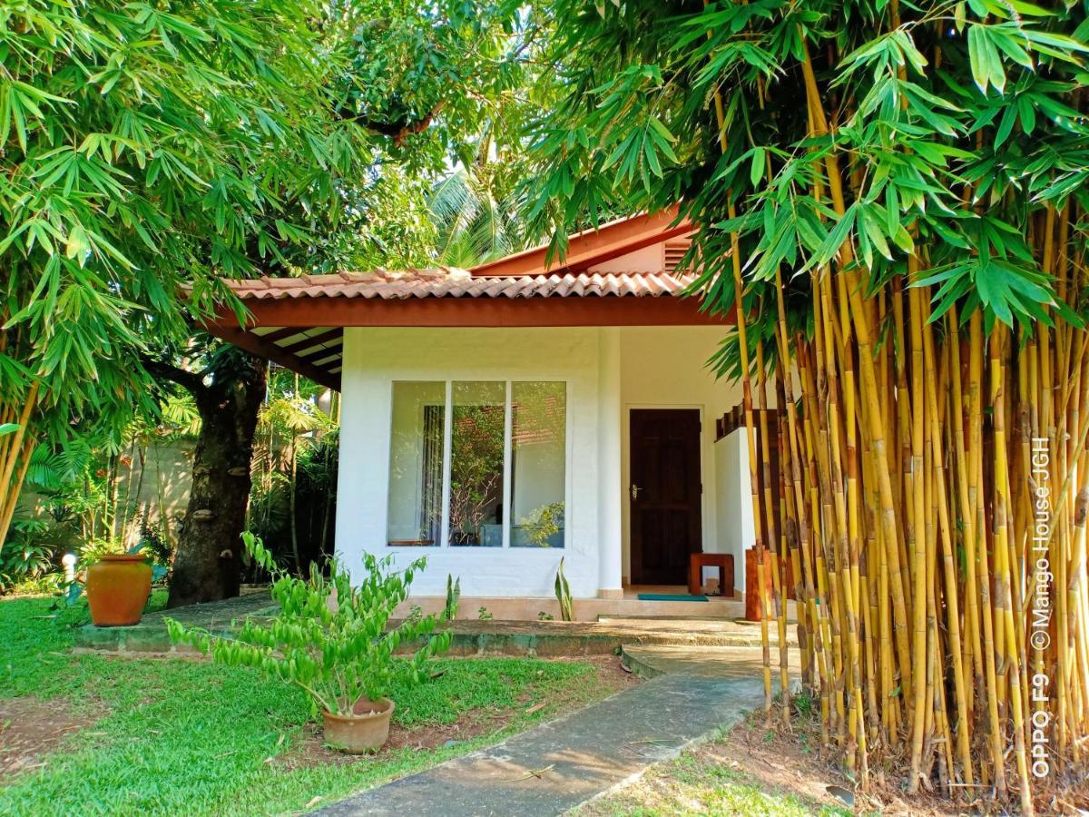 Mango House Japanese Guest House Negombo Bagian luar foto