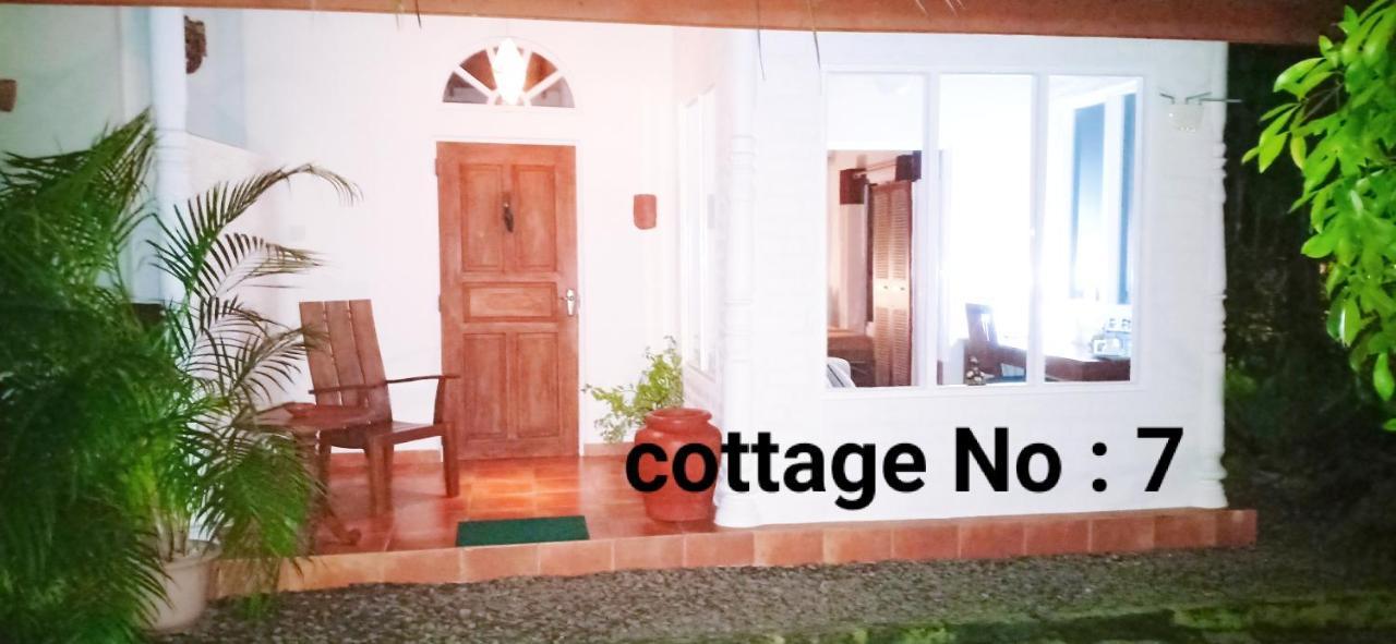 Mango House Japanese Guest House Negombo Ruang foto