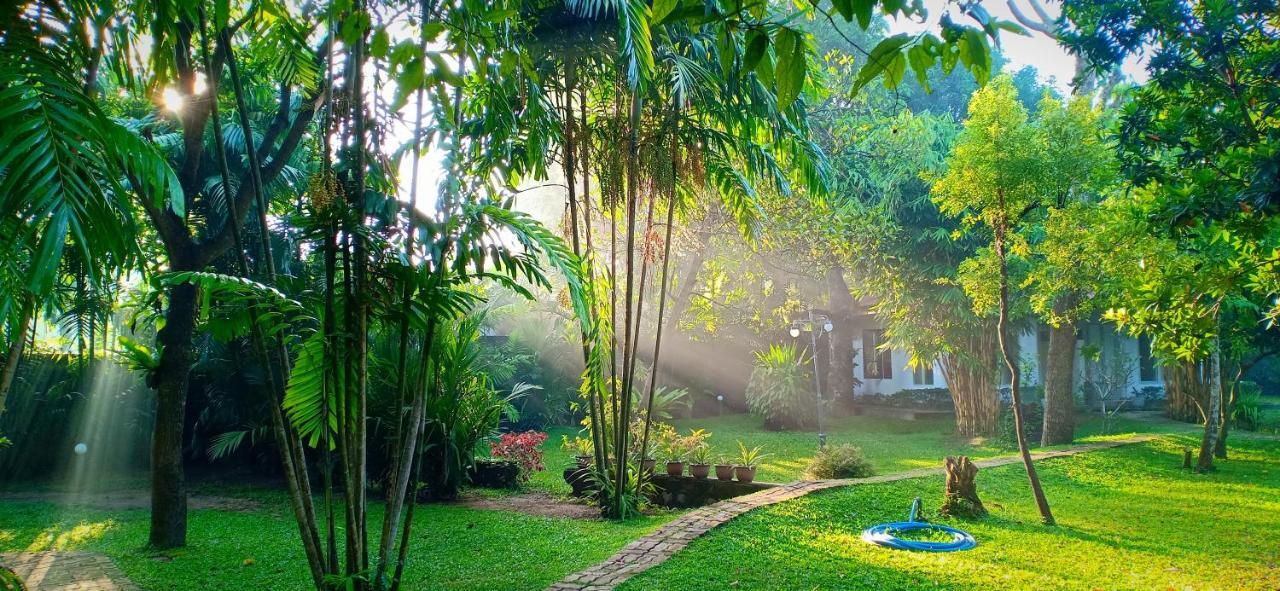 Mango House Japanese Guest House Negombo Bagian luar foto