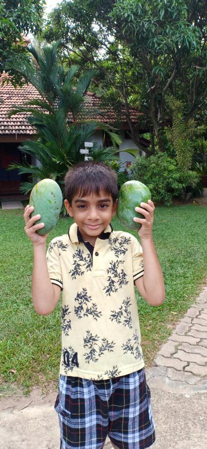 Mango House Japanese Guest House Negombo Bagian luar foto