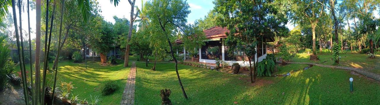 Mango House Japanese Guest House Negombo Bagian luar foto